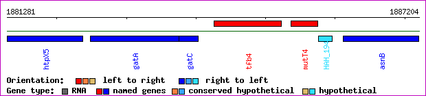 gene map