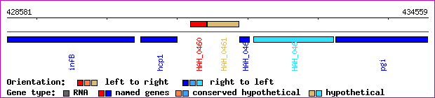 gene map