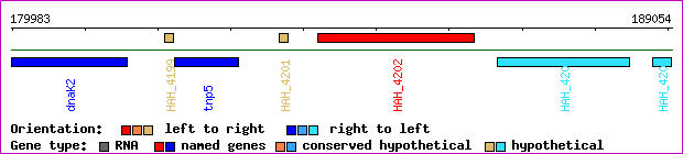 gene map