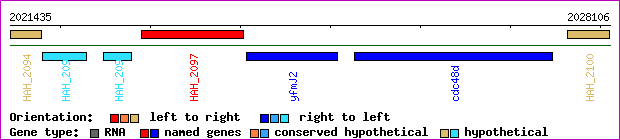 gene map