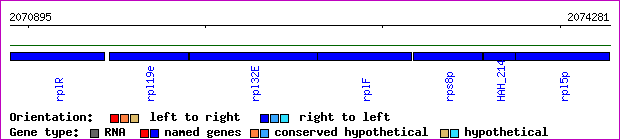 gene map