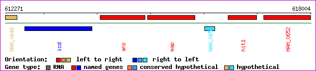 gene map