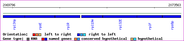 gene map