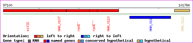 gene map