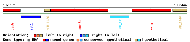 gene map