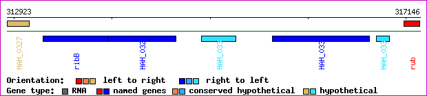 gene map