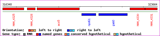 gene map