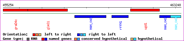 gene map