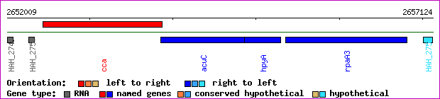 gene map