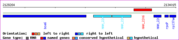 gene map