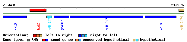 gene map