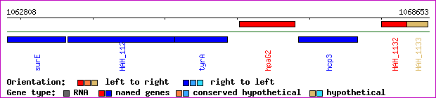 gene map