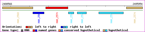 gene map