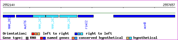 gene map