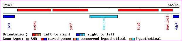 gene map