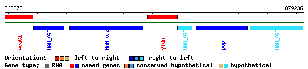 gene map