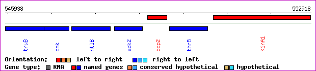 gene map