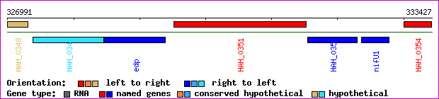 gene map