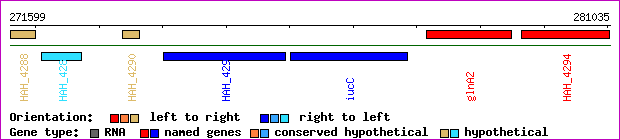 gene map