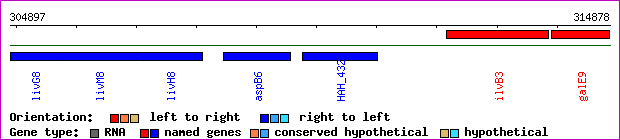 gene map