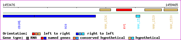 gene map