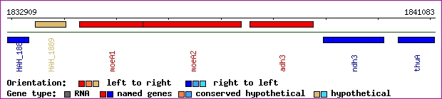 gene map