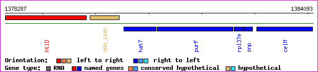 gene map