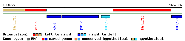 gene map