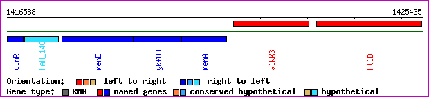 gene map