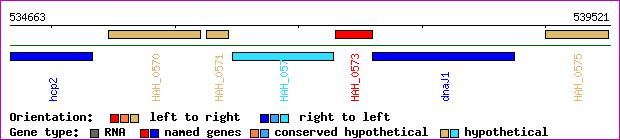 gene map