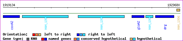 gene map