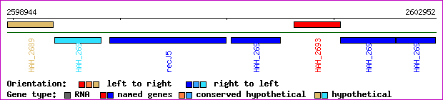 gene map