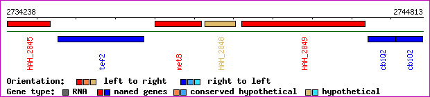 gene map