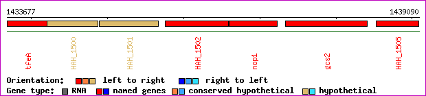gene map