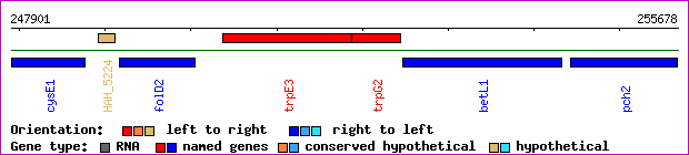 gene map