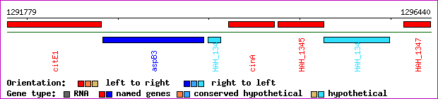 gene map