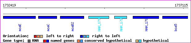 gene map