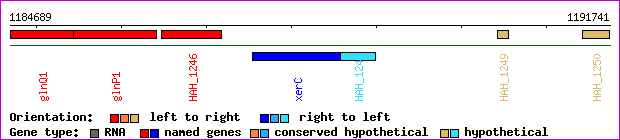 gene map