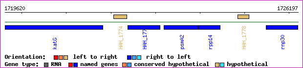 gene map