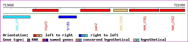 gene map