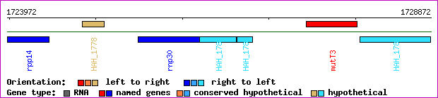 gene map