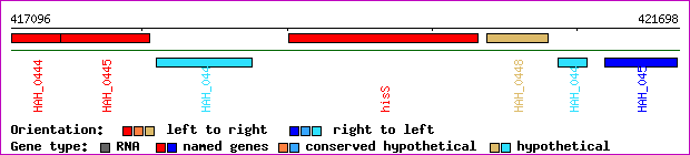 gene map