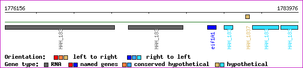gene map