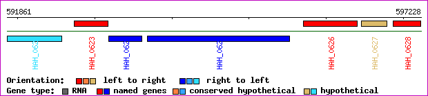 gene map