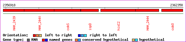 gene map