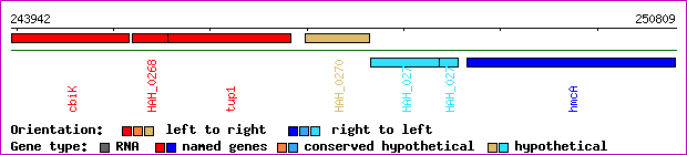 gene map
