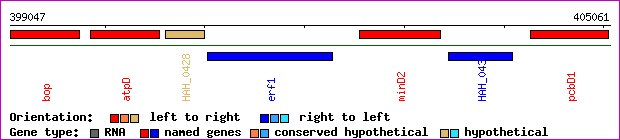 gene map