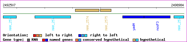 gene map