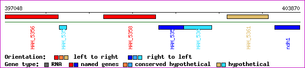 gene map
