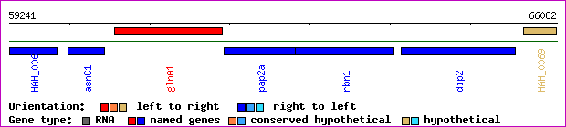 gene map